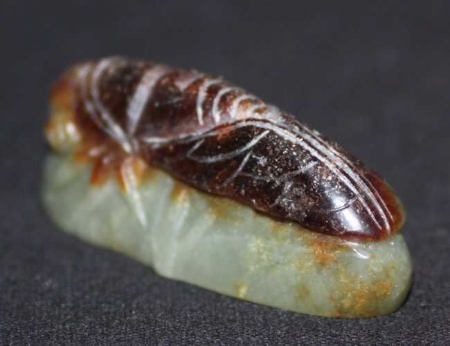 Chinese Carved Heitian Jade Cicada On Bamboo Pendant - 2