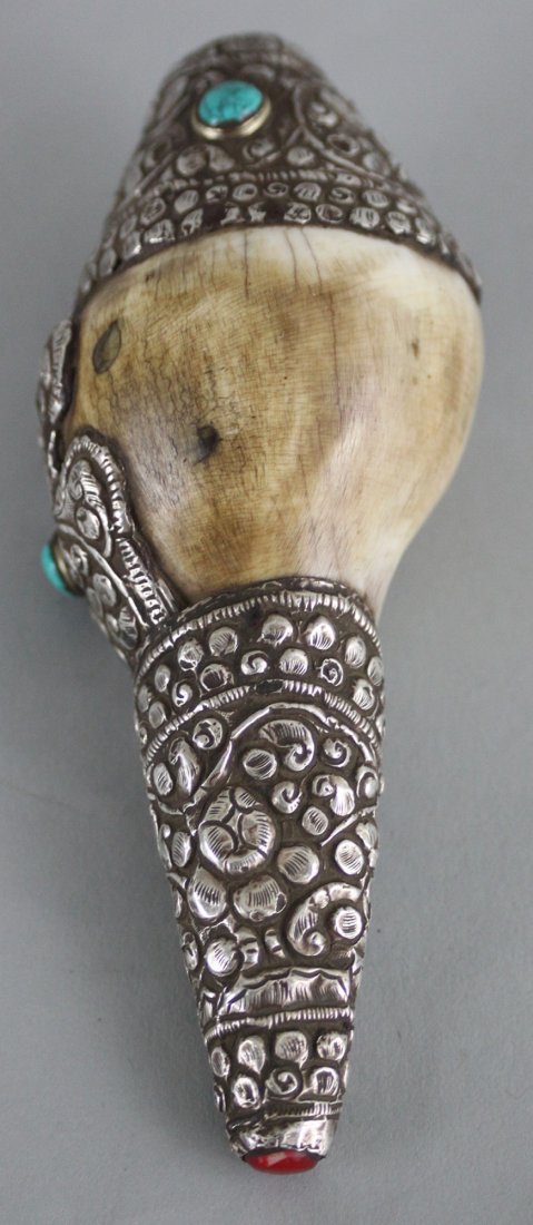 Nepalese Ritual Conch Shell: This beautiful Ritual Conch Shell is carved with silver and semi precious stones . Dimensions 5.5" x 2.5", CS11, K1W51
