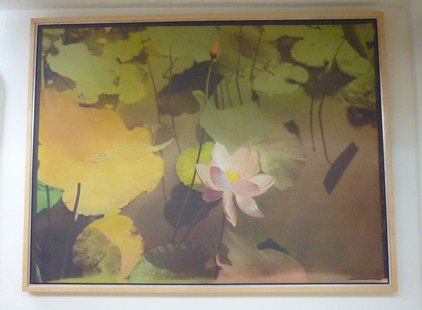 Barbara Rogers Oil Painting: Artist: Barbara Rogers (American 1937- ). Image size: 39" x 52". Medium: Oil on Canvas. Title: Dream Pond #7 1995. Subject: pink pond flowers. Set in maple frame.