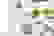 item-52352922=2