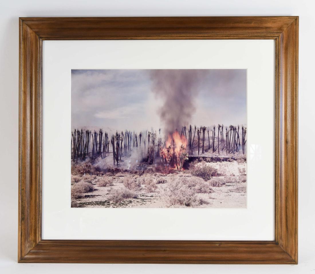 RICHARD MISRACH (AMERICAN 1949-): From "Desert Cantos" series. Ektacolor print Dimensions: (Frame) H 32" x W 36" (Sight) H 18" x W 23" Condition: Sun fading. No label on the back.