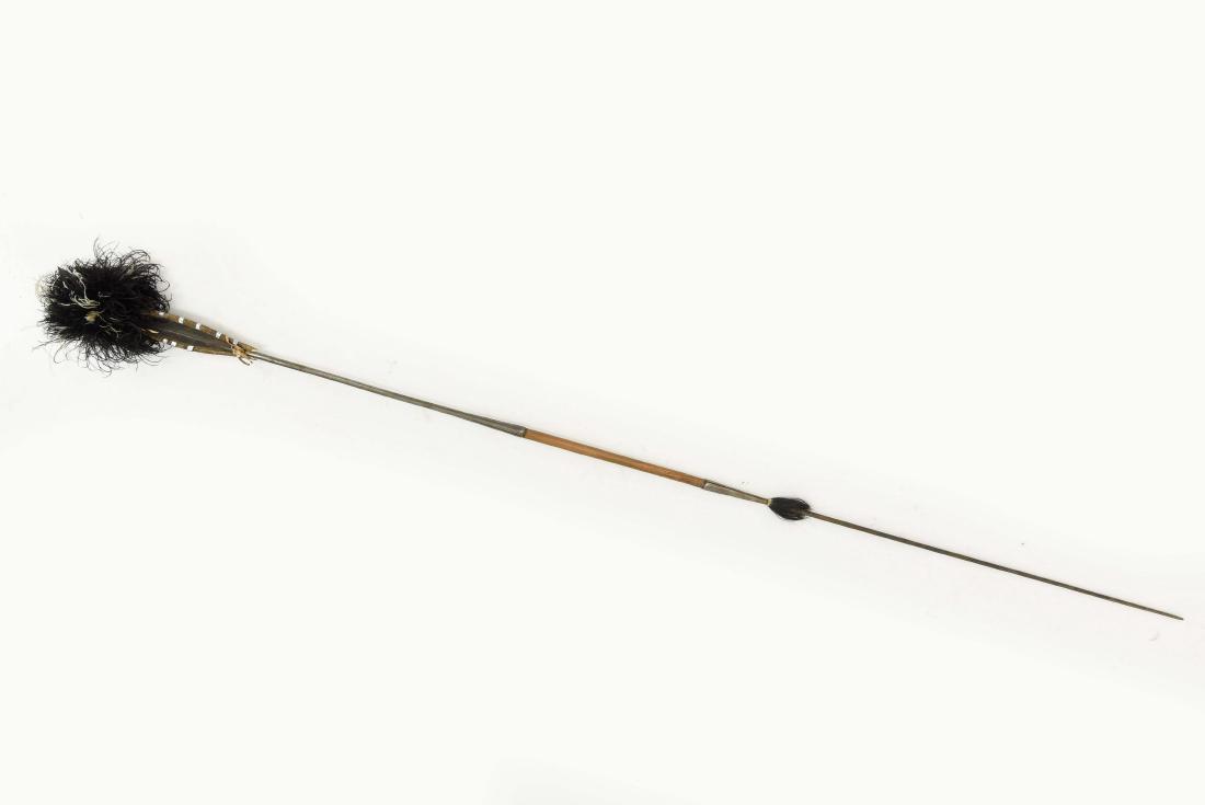 AFRICAN SPEAR (1 of 9)