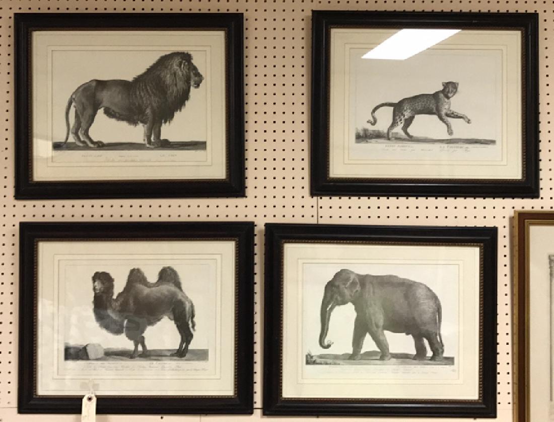 (4) AFRICAN ANIMAL PRINTS (1 of 5)