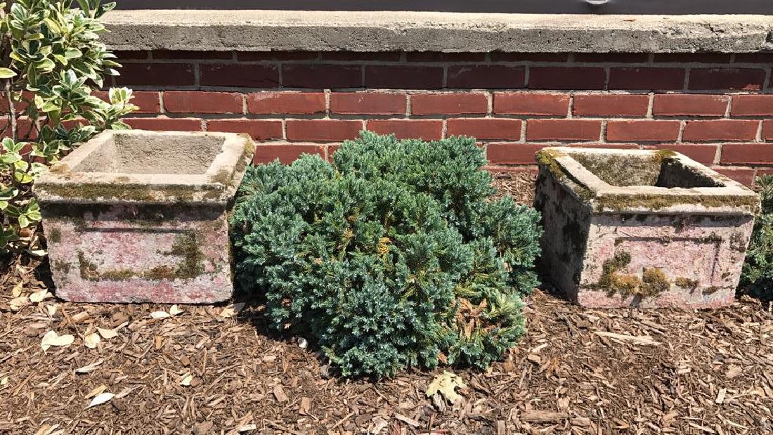 PAIR OF SQUARE CEMENT PLANTERS (1 of 1)