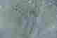 item-57561872=7