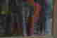 item-58813028=6