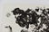 FRANCOIS FIEDLER ORIGINAL LITHOGRAPH - 2