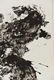 FRANCOIS FIEDLER ORIGINAL LITHOGRAPH - 5