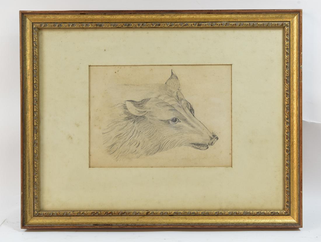 19TH C. PENCIL DRAWING OF A WOLF (1 of 10)