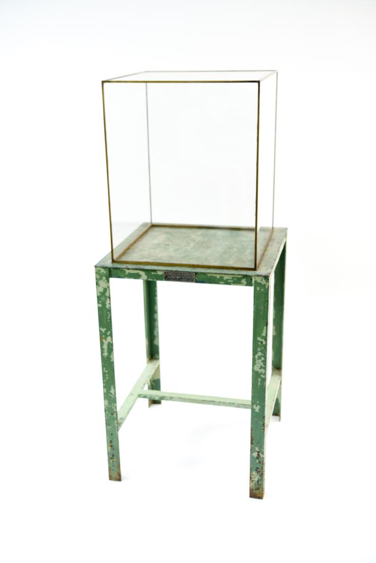 FRENCH NATURAL HISTORY MUSEUM VITRINE: France 1940's, from Museum Of Natural History, Paris, France. With label: La Precision Moderne. Glass with brass corners. Dimensions: H 47.5" x W 23.75" x D 23.75" Condition: Layered paint flaking on 