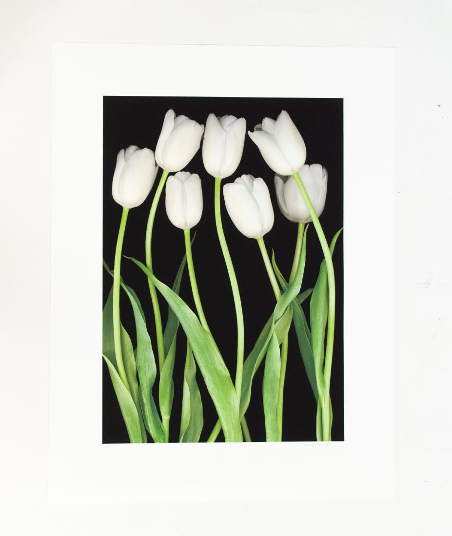 HAROLD FEINSTEIN (1931-2005) PHOTOGRAPH (1 of 8)