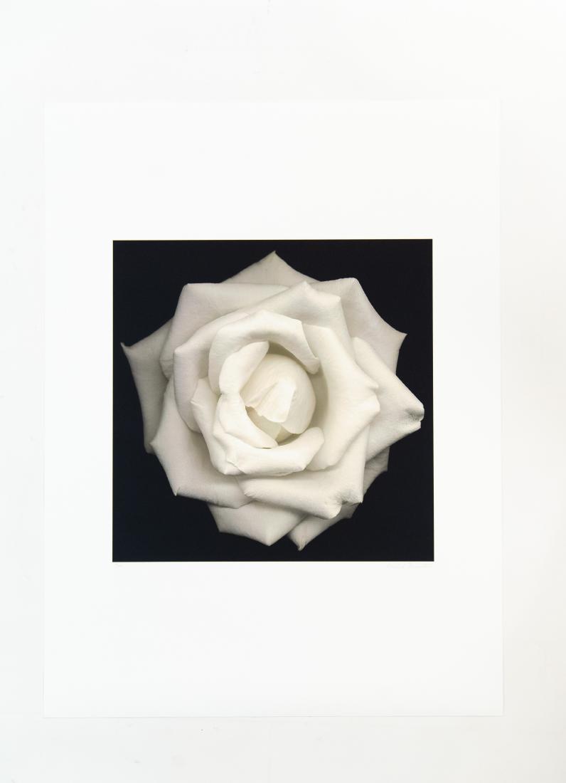 HAROLD FEINSTEIN (1931-2005) PHOTOGRAPH (1 of 7)