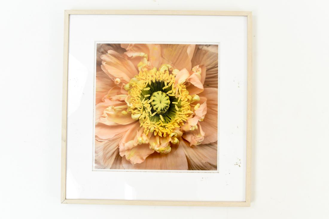 HAROLD FEINSTEIN (1931-2015) PHOTOGRAPH (1 of 20)