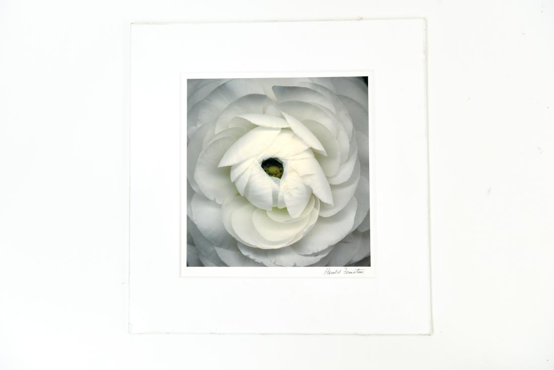 HAROLD FEINSTEIN (1931-2015) PHOTOGRAPH (1 of 14)