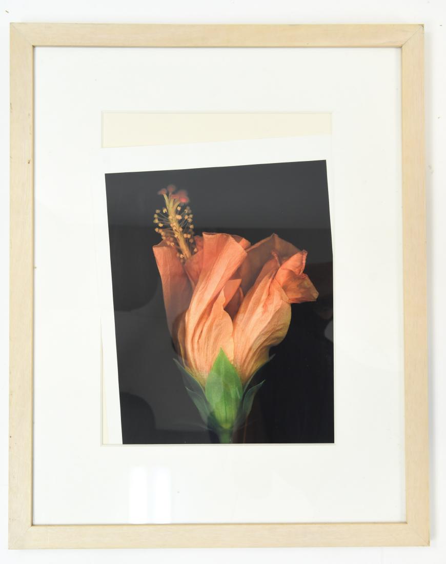 HAROLD FEINSTEIN (1931-2015)PHOTOGRAPH (1 of 19)