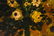 OIL ON BOARD STILL LIFE FLORAL PAINTING - 5