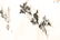 (2) MODERN CHINESE SCROLL PAINTINGS - 16