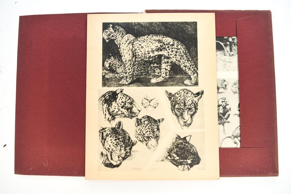 FRENCH PORTFOLIO OF ANIMAL STUDIES BY MEHEUT (1 of 8)