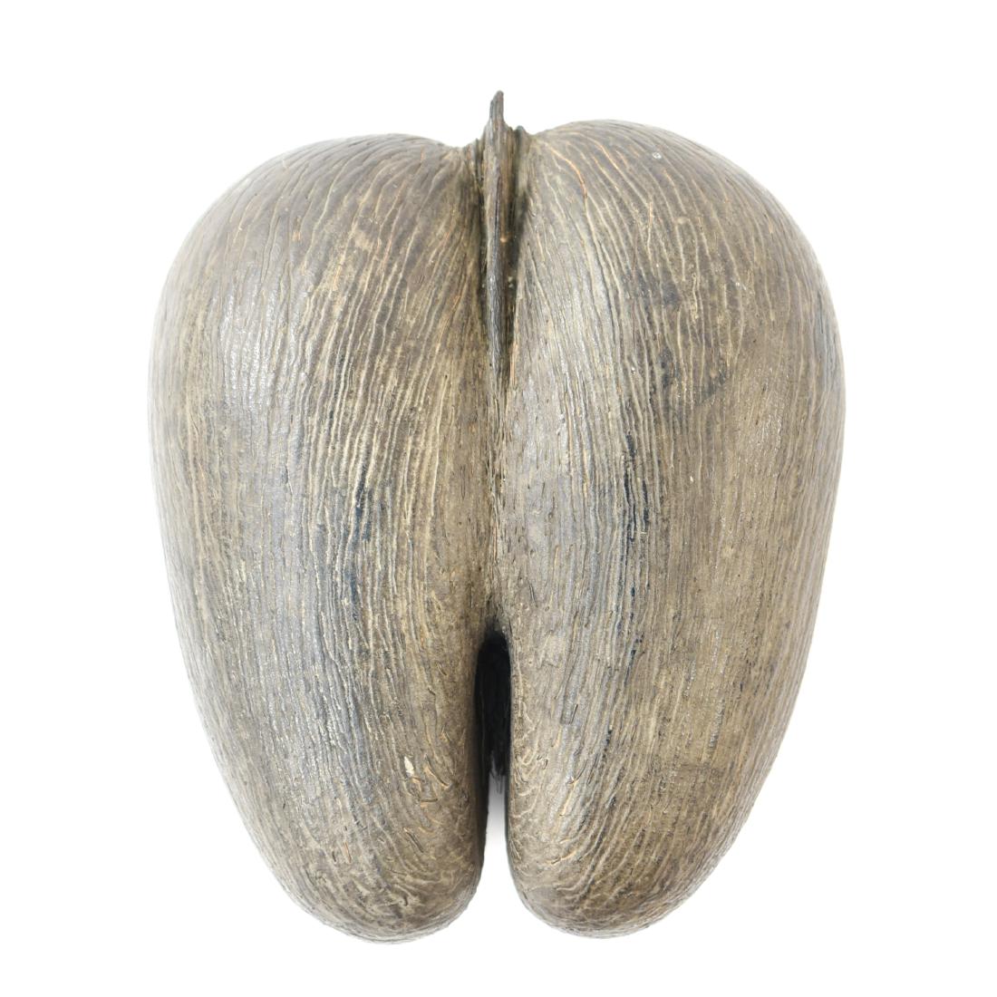 SEYCHELLES ISLANDS "COCO DE MER" (1 of 9)