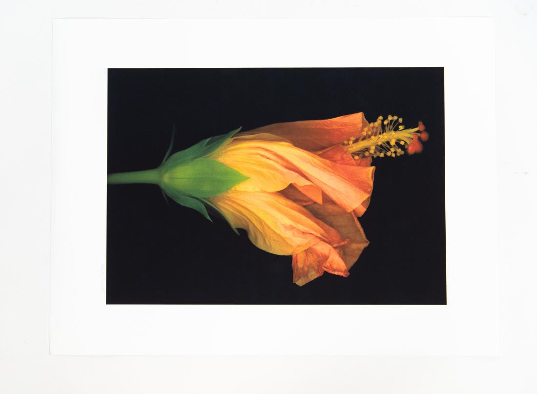 HAROLD FEINSTEIN (1931-2015) PHOTOGRAPH (1 of 10)