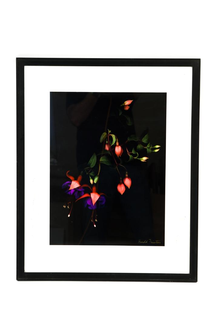 HAROLD FEINSTEIN (1931-2015) PHOTOGRAPH (1 of 20)