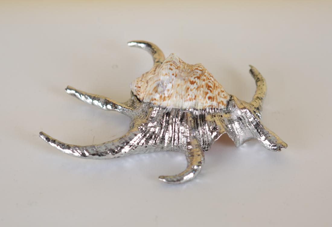 DECORATIVE METAL CLAD SHELL (1 of 8)