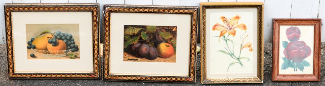 GROUPING OF (4) FLOWER & FRUIT PRINTS (1 of 6)