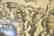 AFTER ANNIBALE CARACCI ENGRAVING - 4