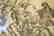 AFTER ANNIBALE CARACCI ENGRAVING - 6