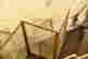 item-68045489=4