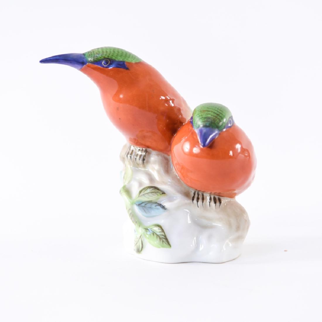 HEREND ROBINS (1 of 11)