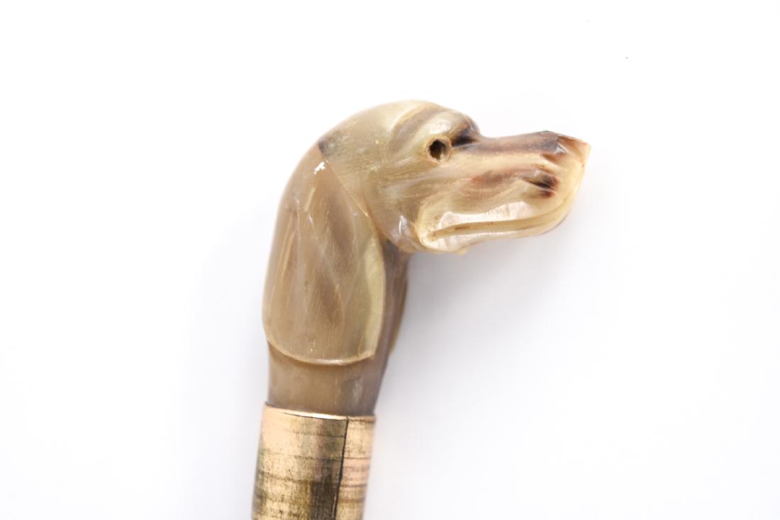 CARVED HORN DOG HEAD CANE (1 of 11)