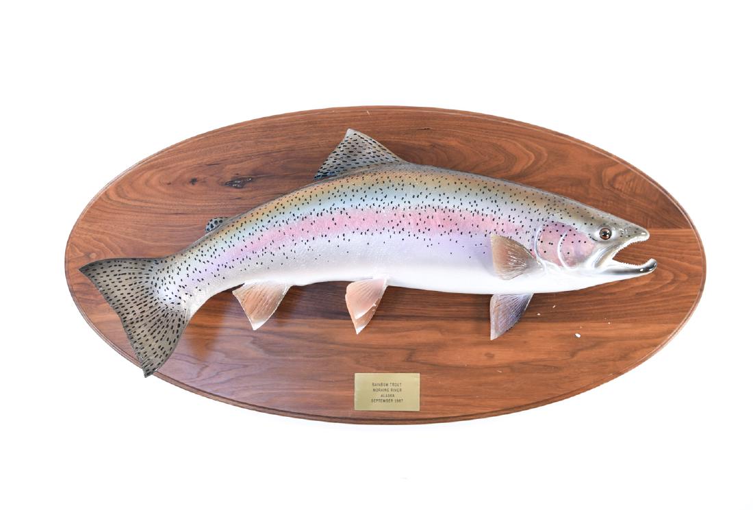 RAINBOW TROUT FISH TAXIDERMY WALL HANGING (1 of 9)