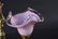 TRIPLE LIGHT FLOWER SHADE LAMP - 5