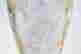 item-73024549=4