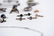 GROUPING OF ANTIQUE AND VINTAGE JEWELRY - 14