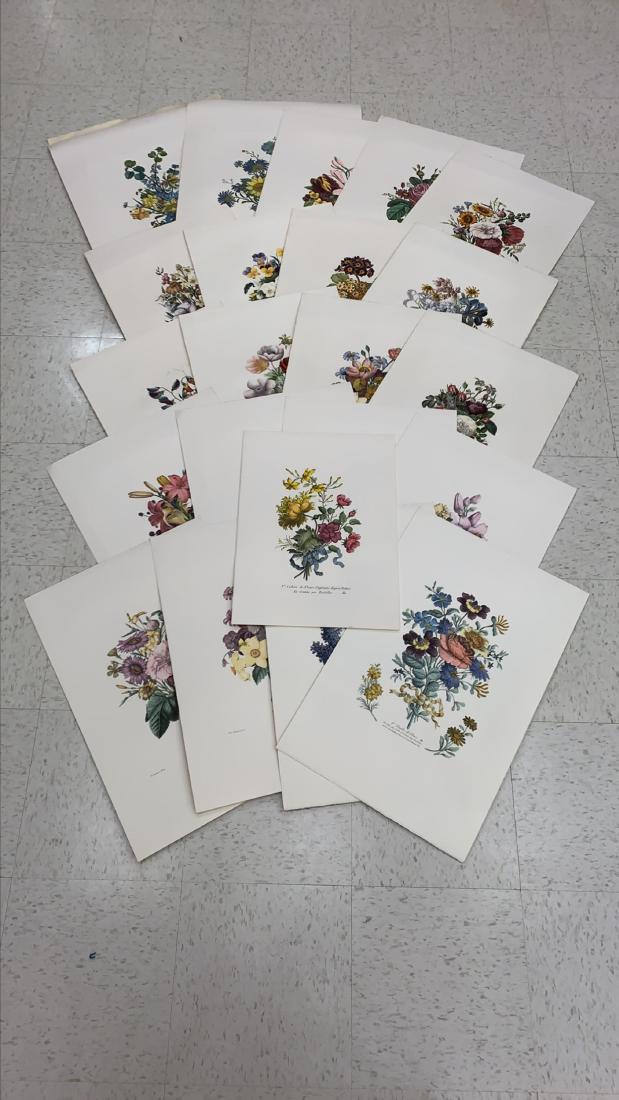 ITALIAN COLORED ENGRAVINGS OF FLOWERS (1 of 6)