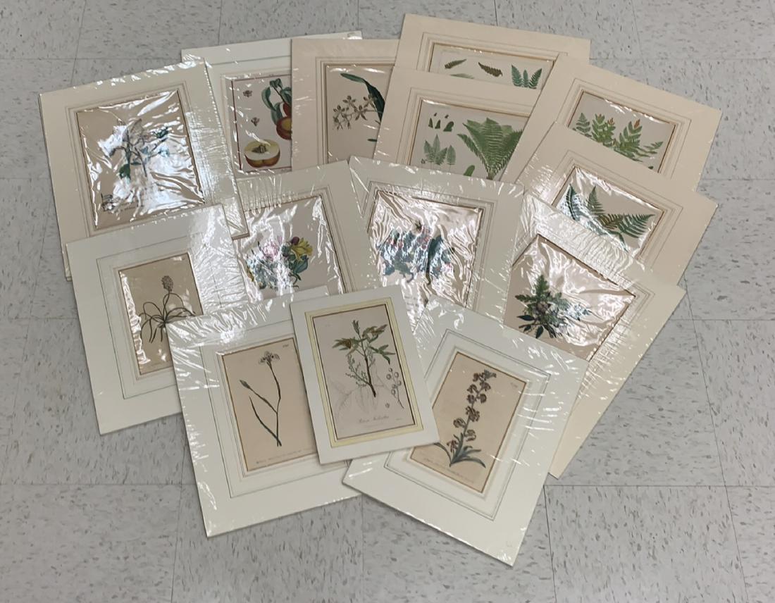 GROUPING OF 18TH/19TH C. BOTANICAL PRINTS (1 of 7)