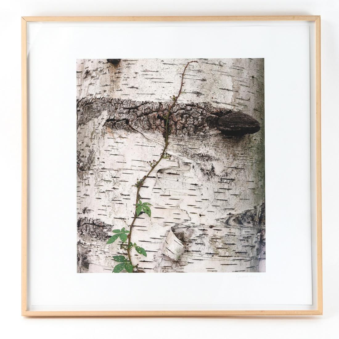 JUDITH ANGEL (CONTEMPORARY PHOTOGRAPHER) (1 of 9)