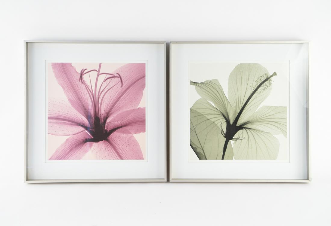 PAIR OF DECORATIVE FLOWER PHOTOGRAPHIC PRINTS (1 of 9)