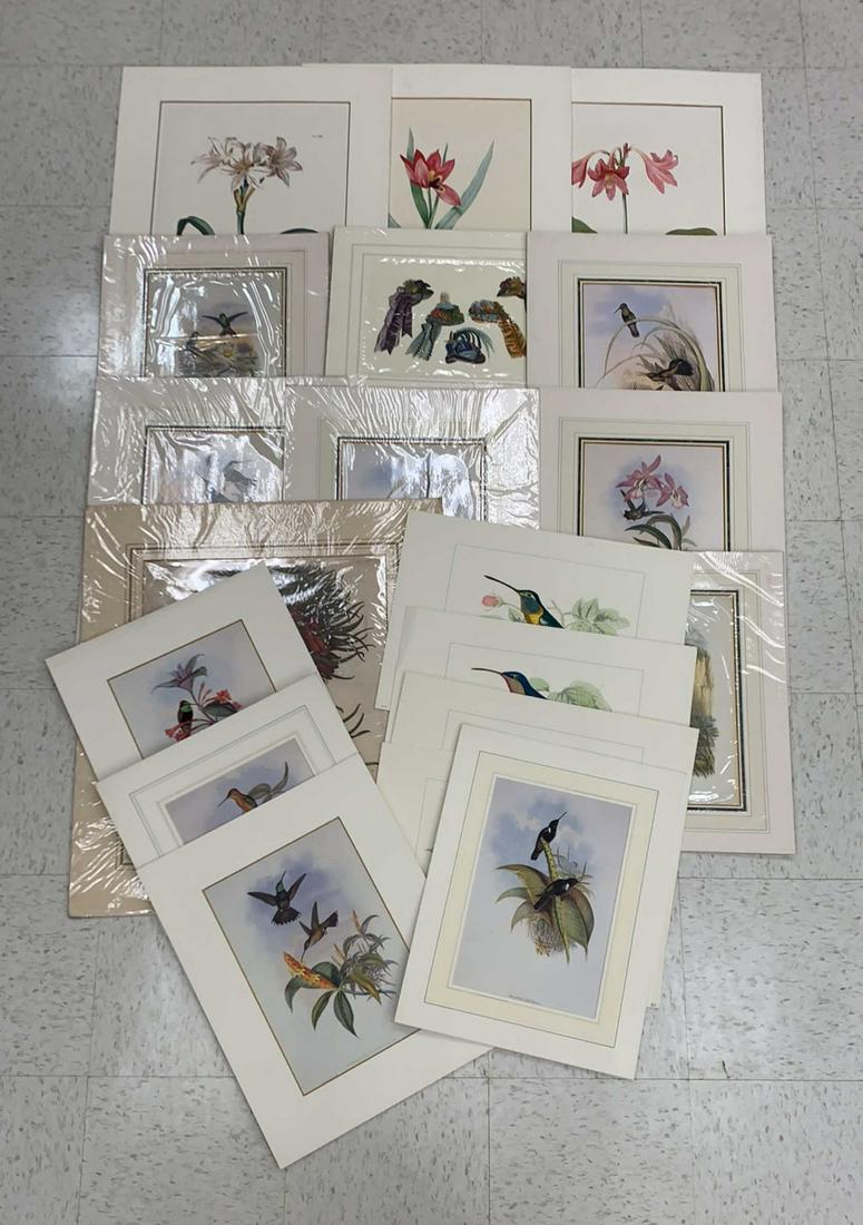 REPRODUCTION DECORATIVE BOTANICAL PRINT GROUPING (1 of 10)