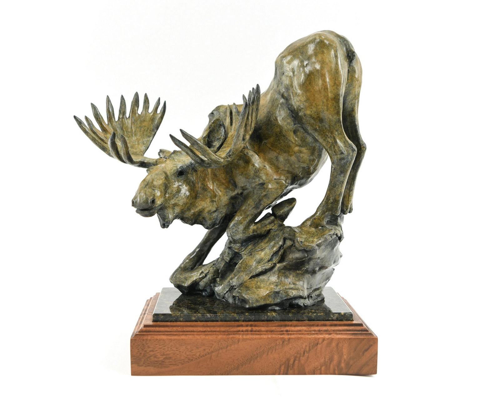 SHERRY SANDER BRONZE MOOSE: Signed and 1997, numbered 21/35. Dimensions: H 14" x W 12" x D 6.5" Condition: No issues to note