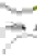 item-75656512=4