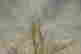 item-76253275=6