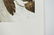 BEV DOOLITTLE PRINT - 8