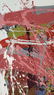 ABSTRACT OIL ON CANVAS PAINTING - 5