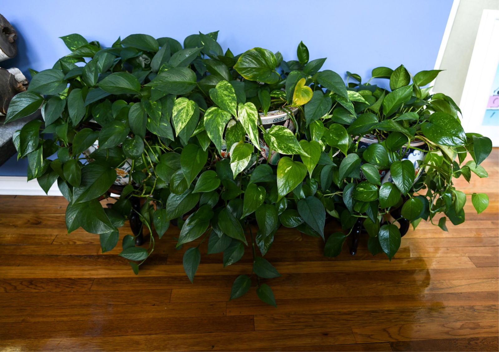 GROUPING LARGE 20TH C. CHINESE PORCELAIN PLANTERS (1 of 7)