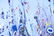 FRANK JONS ABSTRACT ACRYLIC ON CANVAS - 6