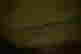 item-85034534=11