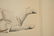 WILLIAM S. SCHWARTZ (1896-1977) DRAWING IN CONTE - 6